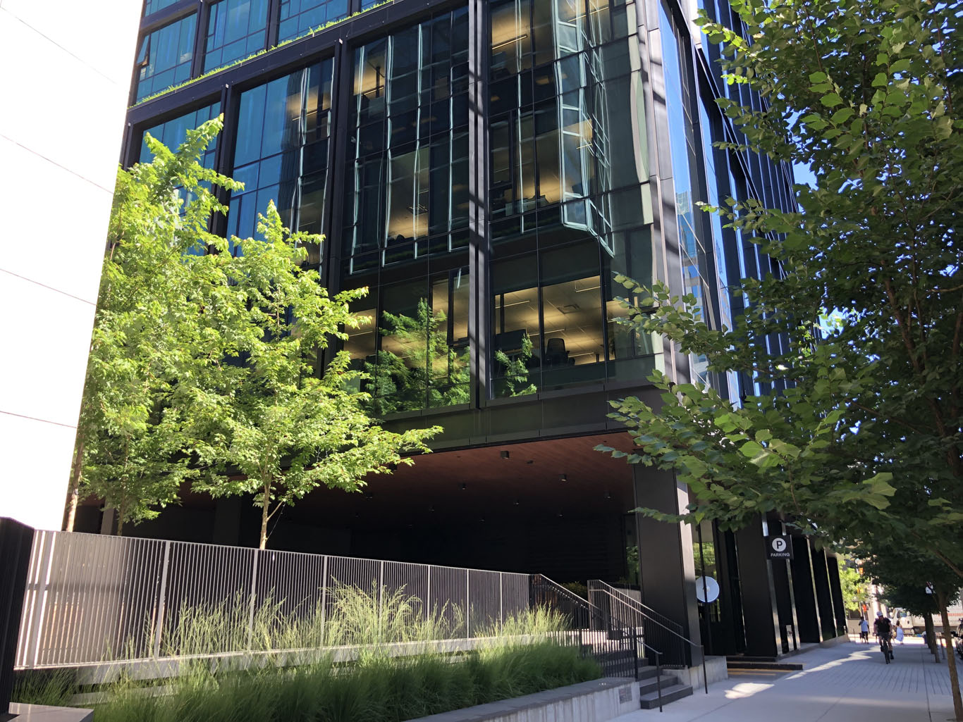 Amazon - 402 Dunsmuir